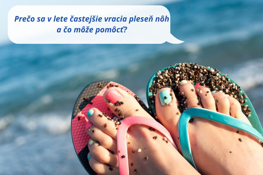 26-06-v-lete-sa-vracia-plesen-noh